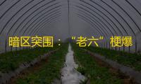 暗区突围：“老六”梗爆火，破圈“顶流”为何能吸引玩家？